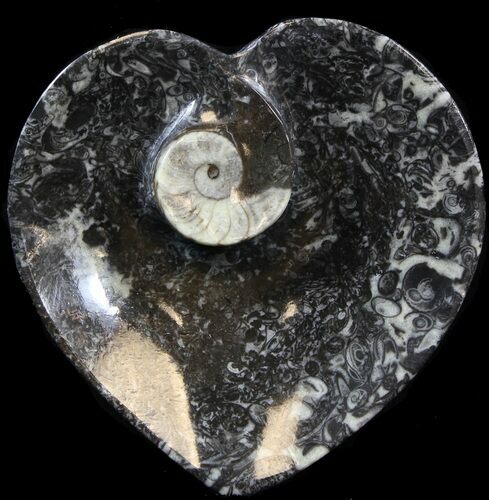 Heart Shaped Fossil Goniatite Dish #39295